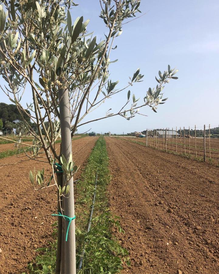 Agriturismo Donna Germana Cirò Marina 外观 照片