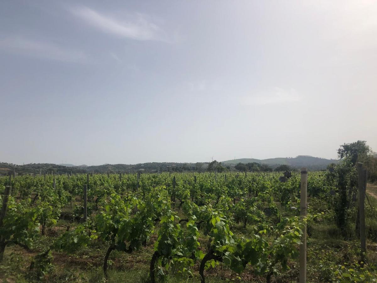 Agriturismo Donna Germana Cirò Marina 外观 照片